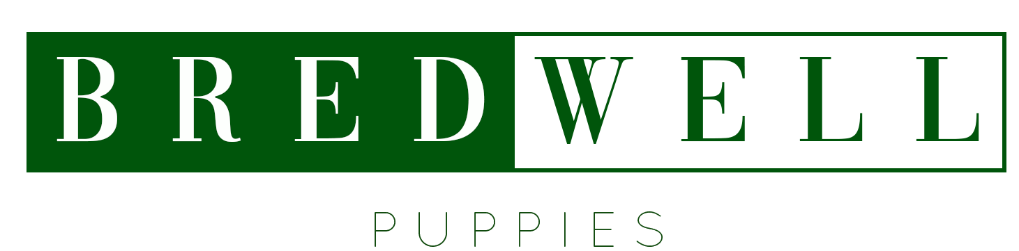Bredwell Puppies